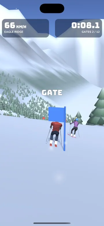 SkiRider 3D: a skier passing a slalom gate